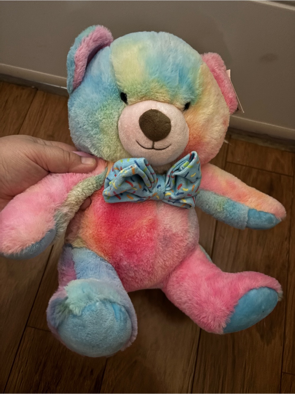 Build-A-Bear Rainbow Plush Teddy with Patterned Bow